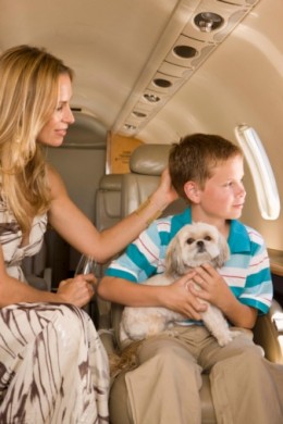 Family with dog in airplane